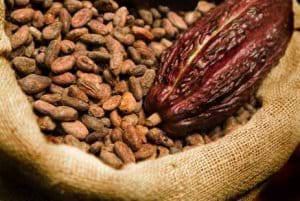 Ghana To Achieve Cocoa Target - CRIG